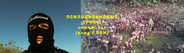 наркотики Приозерск